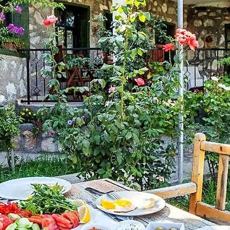 Otantik Tas Ev Ortaca (Mugla)